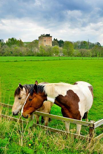 ゴアブリッジ The Arches, Borthwick Mains Farm,ヴィラ エクステリア 写真